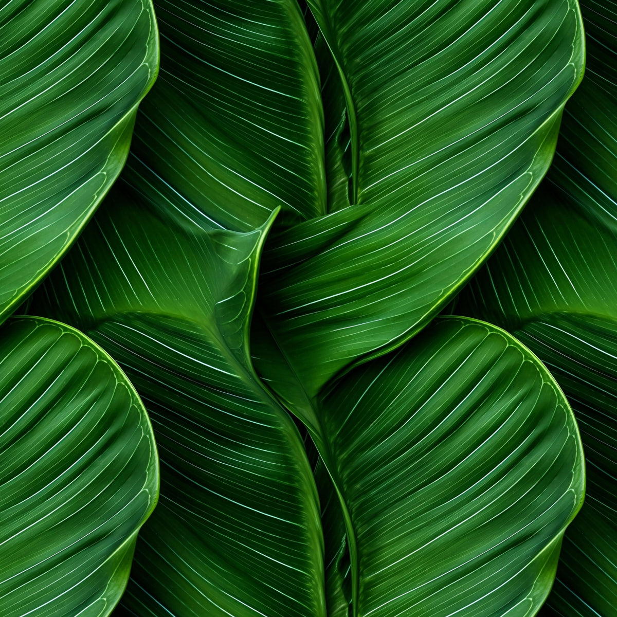 Deep Green Tropical Leaves artwork at the supplied scale for a nominal 60 x 60 cm reference panel.